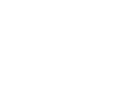 种子