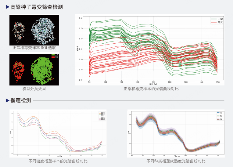 农业与植物科学