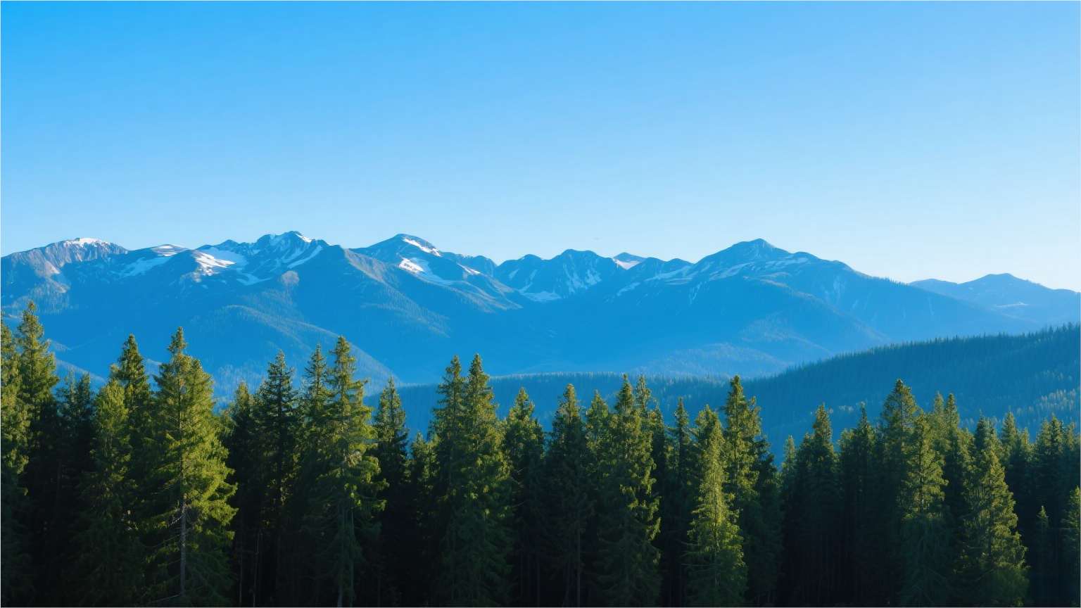 高光谱相机在林业监测领域的应用：精准守护绿色家园